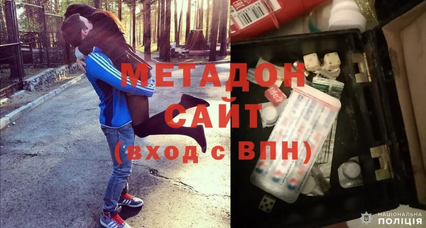 прущие грибы Алексеевка