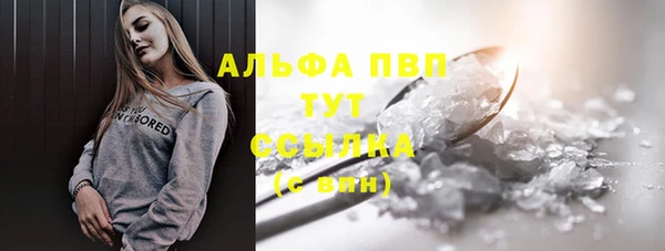 стафф Алзамай