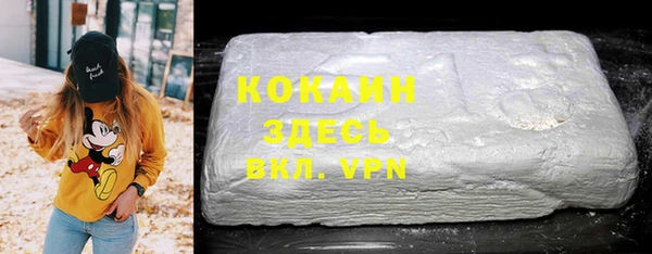 PSILOCYBIN Гусиноозёрск